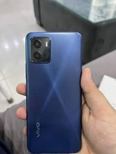 vivo