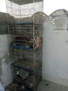 cage 4 sale just a 6000 0