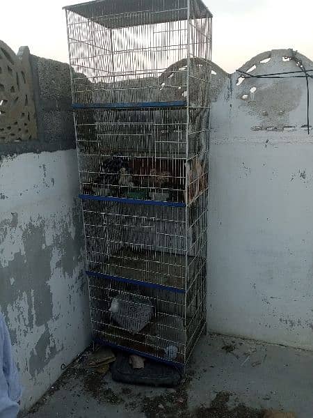 cage 4 sale just a 6000 1