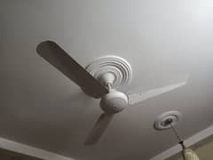 3 used gfc fan in working condition