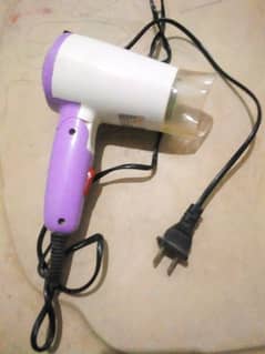 Branded hair dryer
