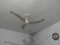 three Parwaz ceiling fan for sale