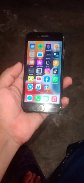 iPhone 7 pta 6