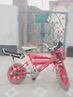 Beautiful Bicyle Only For kids