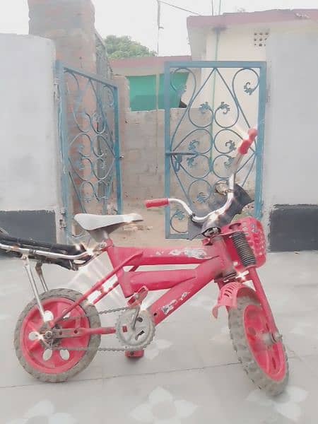 Beautiful Bicyle Only For kids 1