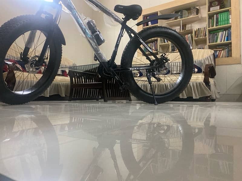 American imported fat plus bike 8