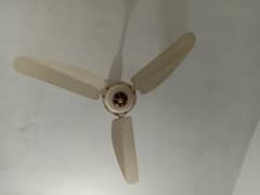 Ceiling Fan