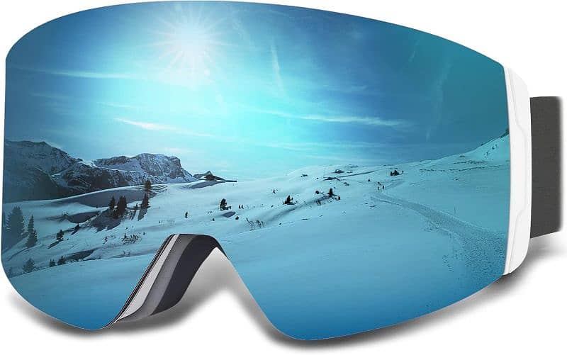 Ski Goggles 4