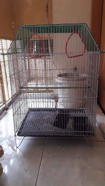 Parrots cage 0