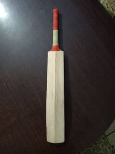 plain English willow hard ball cricket bat