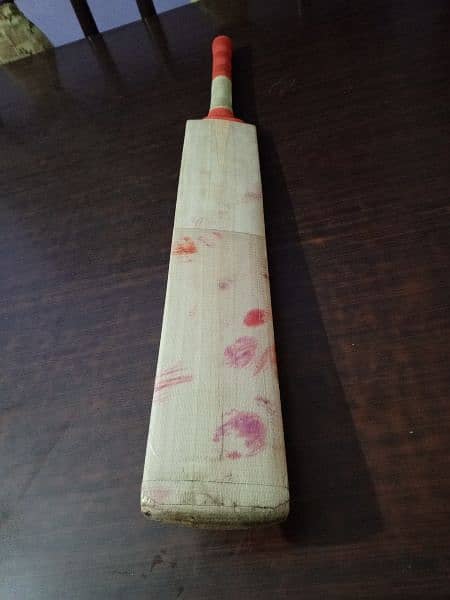 plain English willow hard ball cricket bat 17