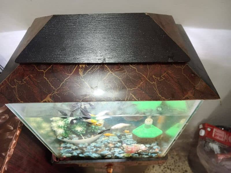 Fish aquarium with wooden stand. 8