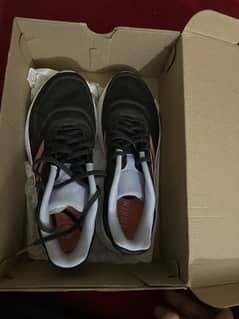 Adidas brand New shoes for sale