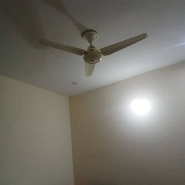 Cieling Fans for Sale 0