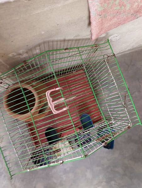 2 cages for sale 2
