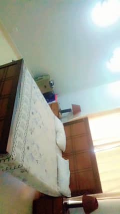 Furnished Safari home sengal story house avible for rent in bharia t