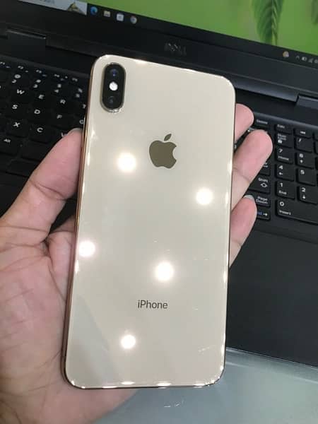 Iphone Xs max waterpack 1