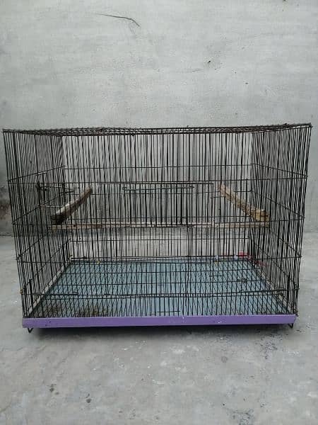 iron cage 0