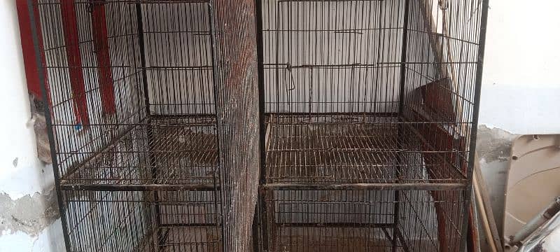 Lovebirds Iron Cage for Sale 1