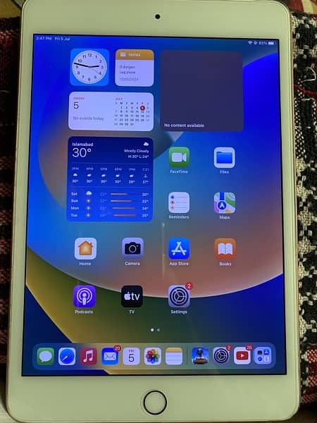 ipad Mini 5 Golden Colour 64 GB with Full Box 6