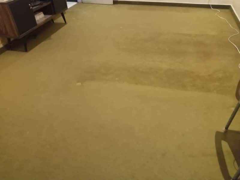 Big carpet for big room 1