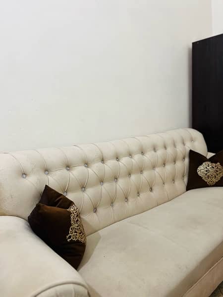 New Velvet poshish pure wood beige sofa 2