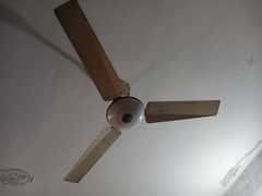 56" copper winding ceiling fan for sale