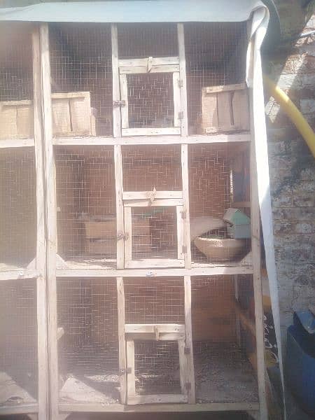 Birds 3 cages 3