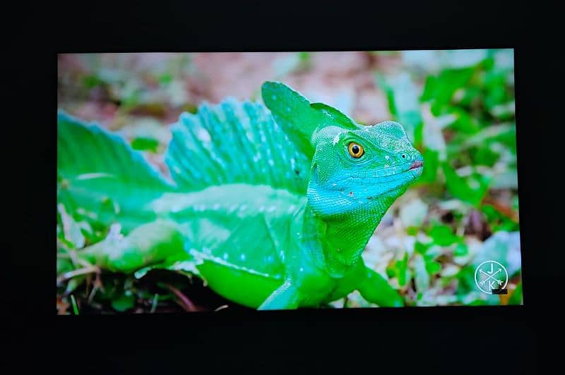 sumsung led 65 inch sale 1