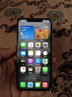 apple iPhone XS Max PTA approved