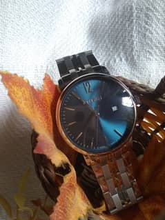 Citizen GN-4W-S original watch