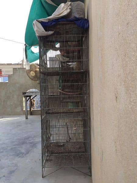 Birds cage (parindon ka pinjra) complete Saman ke sath 1