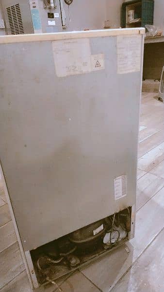 Samsung single door freezers 4