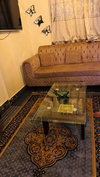 center table  and carpet for sell 5