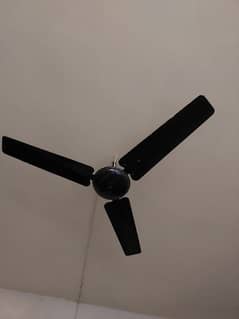 ceiling fan