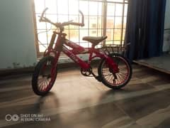 chines cycle 
for the age of 8 to 15 years kids