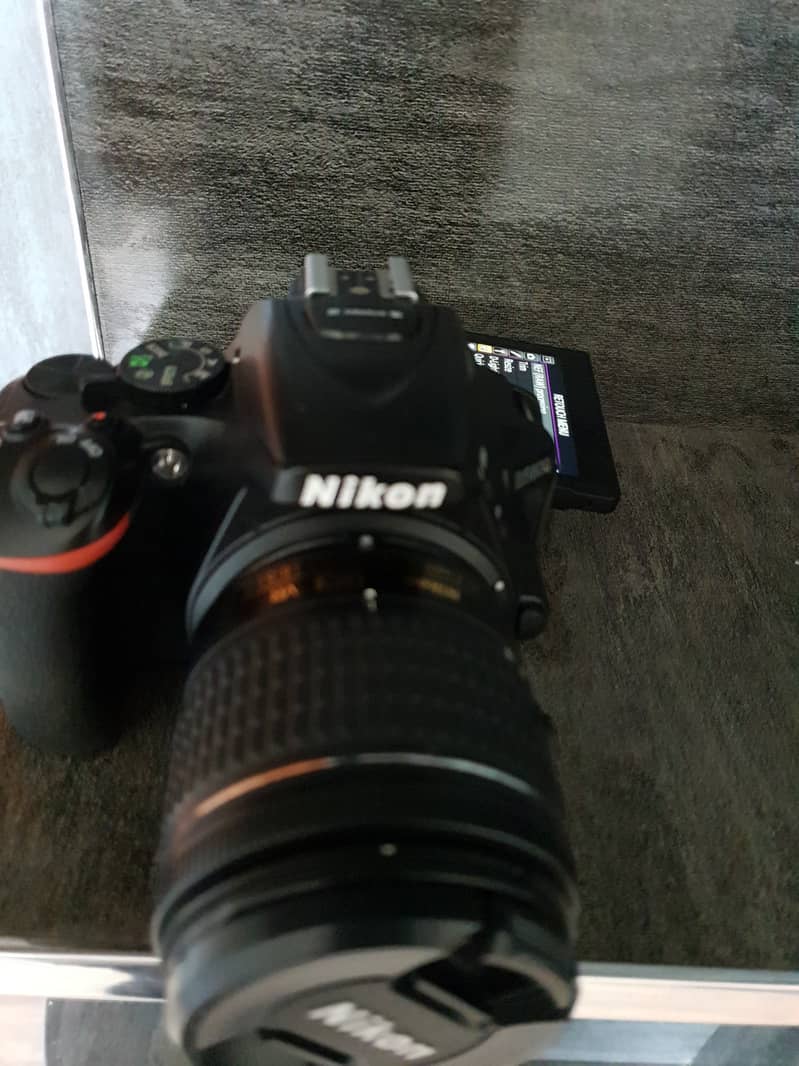 Nikkon D5600(10/10) 0