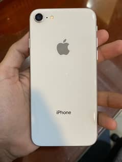 IPhone 8 Pta Approved