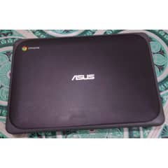 Asus Chromebook C202S
