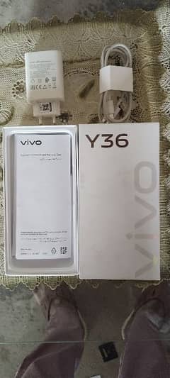 vivo y36