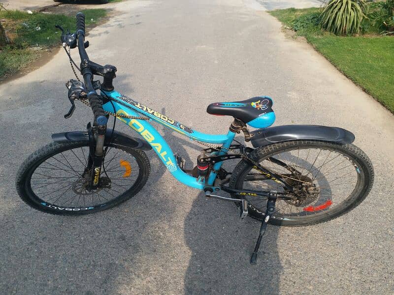 cobalt bicycle 2