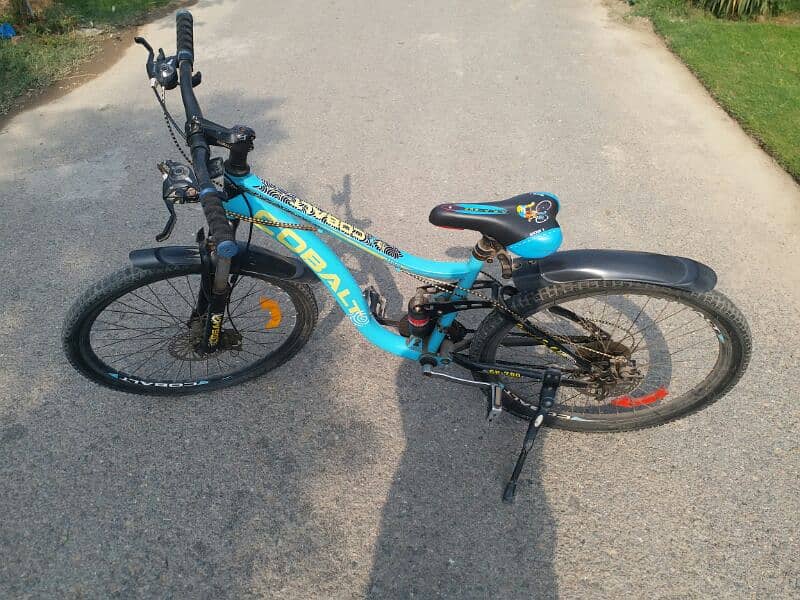 cobalt bicycle 3
