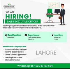 sales executive officer