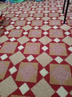 Carpet in good condition.