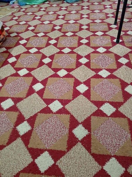 Carpet in good condition. 0