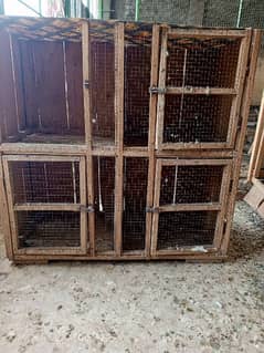 6 poshion cage for sale