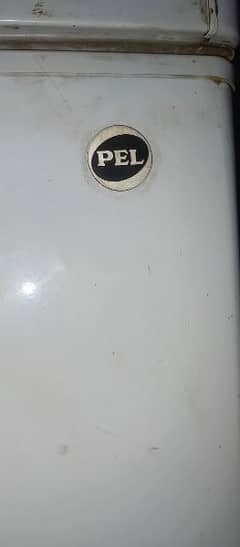 Pell full size freezer