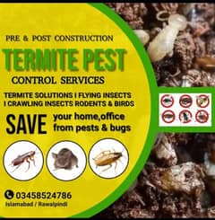 Pest Control/Termite deemak Control/Mosquito Spray/Fumigation