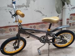 Bicycle For Kids ! Imported From Saudia, Size 16