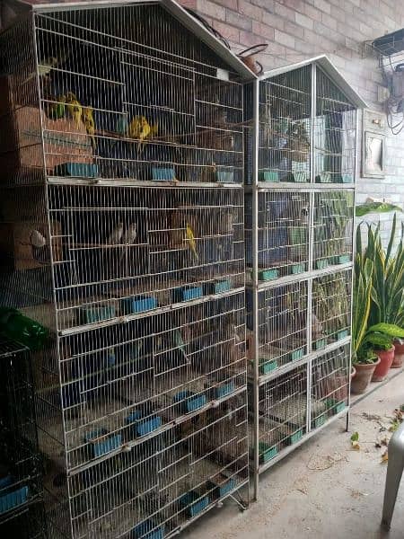 cage for sale 1